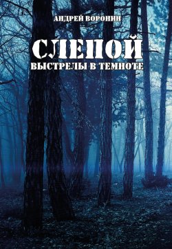 Книга "Слепой. Выстрелы в темноте" {Слепой} – Андрей Воронин, 2006