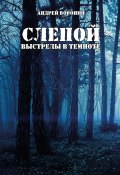 Книга "Слепой. Выстрелы в темноте" (Андрей Воронин, 2006)