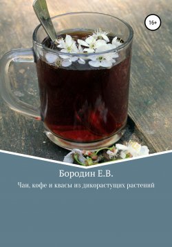Книга "Чаи, кофе и квасы из дикорастущих растений" – Евгений Бородин, 2022